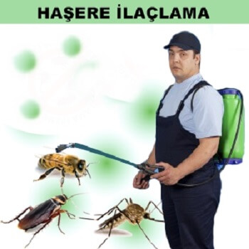 Görele Böcek İlaçlama